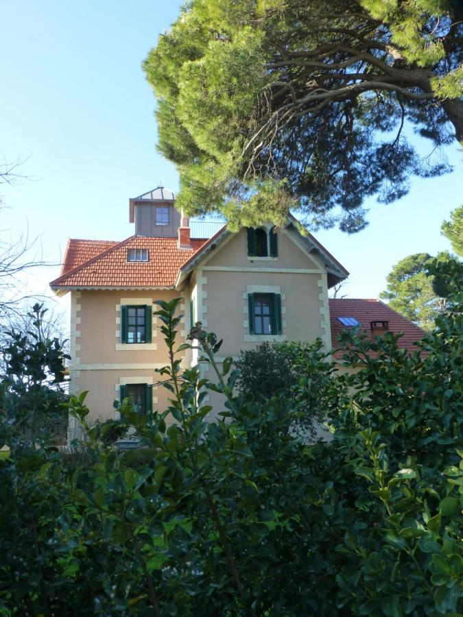 La Maison Du Mole Aigues-Mortes Zewnętrze zdjęcie