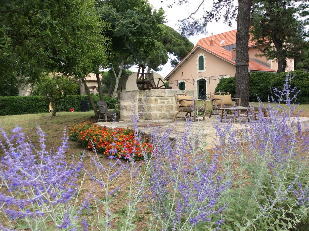 La Maison Du Mole Aigues-Mortes Zewnętrze zdjęcie